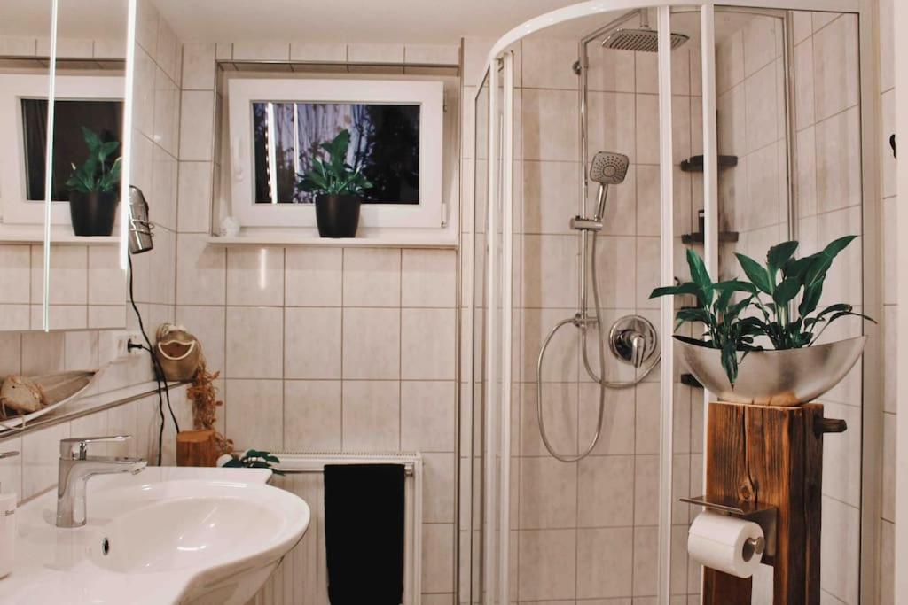 Smart-Apartment Blickwinkel Schwarzwald Gaggenau Eksteriør billede